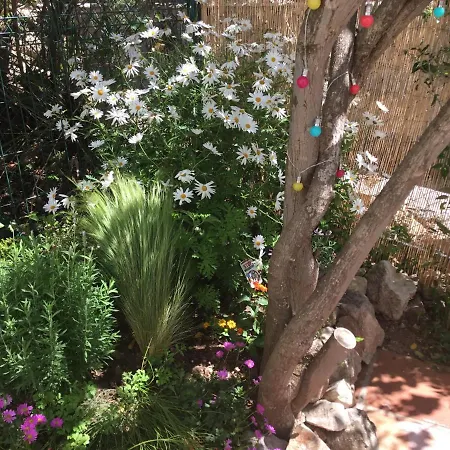 Casa 3*